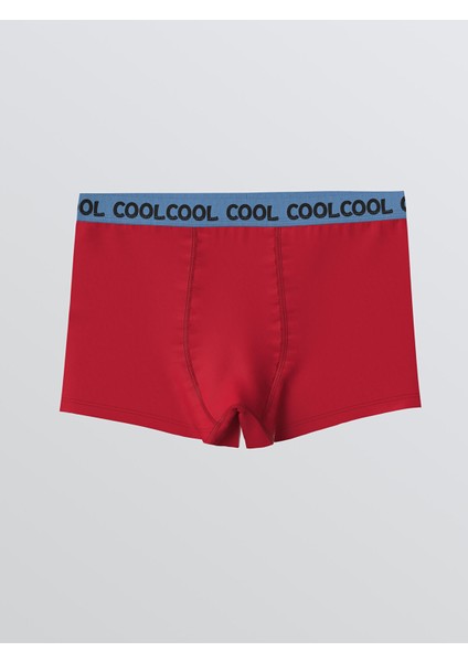 Yeni Sezon Baskılı Erkek Çocuk Boxer 3'lü fiyatları