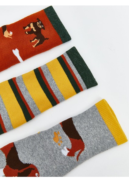 Yeni Sezon Desenli Erkek Çocuk Havlu Soket Çorap 3'lü indirimleri