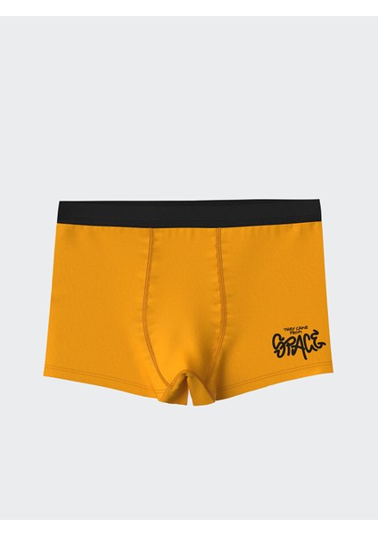 Yeni Sezon Baskılı Erkek Çocuk Boxer 3'lü fırsatları