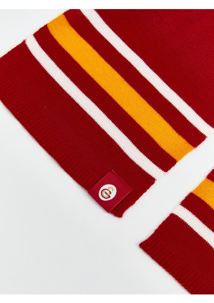 Yeni Sezon Galatasaray Nakışlı Erkek Çocuk Atkı Bere Eldiven Seti fırsatları
