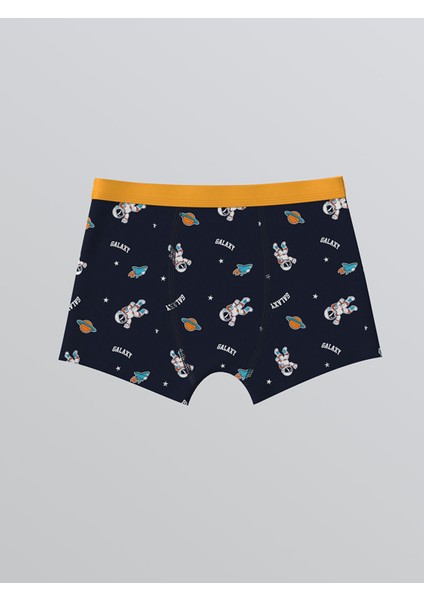 Yeni Sezon Baskılı Erkek Çocuk Boxer 3'lü fiyatları