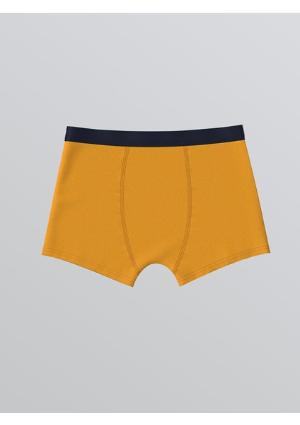 Yeni Sezon Baskılı Erkek Çocuk Boxer 3'lü modelleri