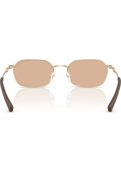 Ax 2056S 612173 54 Armani Exchange Güneş Gözlüğü modelleri