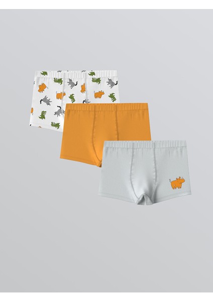 Yeni Sezon Baskılı Penye Erkek Çocuk Boxer 3'lü