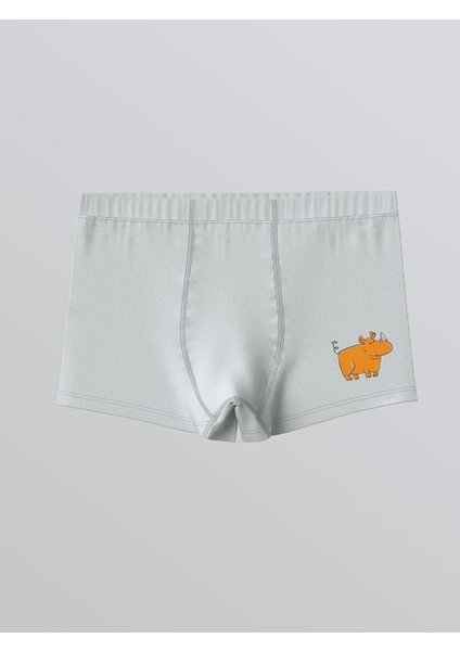 Yeni Sezon Baskılı Penye Erkek Çocuk Boxer 3'lü fırsatları