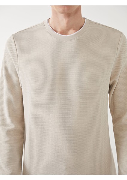 Yeni Sezon Bisiklet Yaka Uzun Kollu Erkek Sweatshirt modelleri