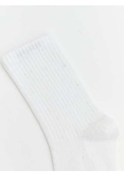 Yeni Sezon Basic Erkek Çocuk Soket Çorap 7'li fiyatları