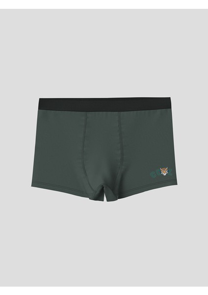 Yeni Sezon Baskılı Erkek Çocuk Boxer 3'lü modelleri