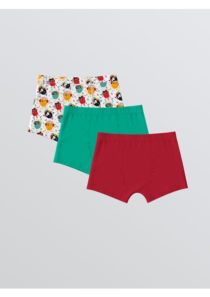 Yeni Sezon Baskılı Erkek Çocuk Boxer 3'lü