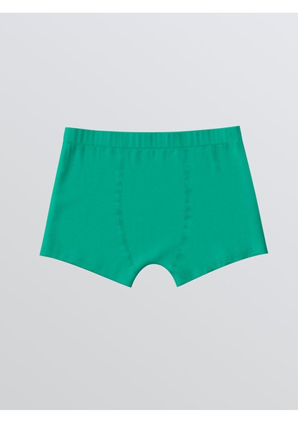 Yeni Sezon Baskılı Erkek Çocuk Boxer 3'lü fırsatları