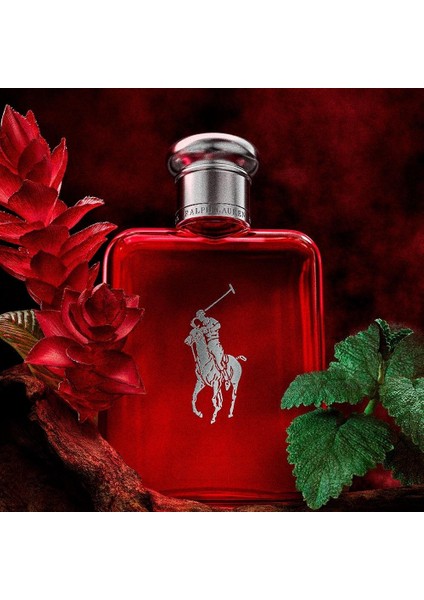 Polo Red Edp 125 ml Erkek Parfümü modelleri