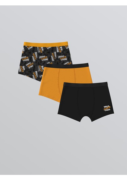 Yeni Sezon Baskılı Erkek Çocuk Boxer 3'lü