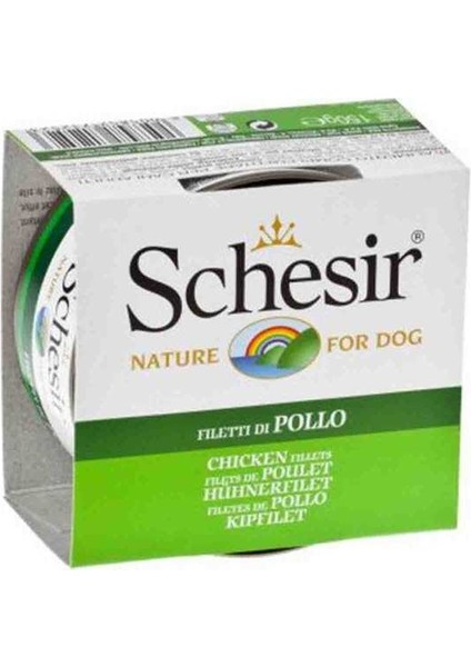 Jelly Pouch Tavuklu Fileto Konserve Yetişkin Köpek Maması 150 gr - Petshopundan