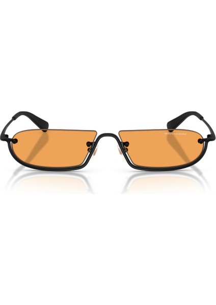 Ax 2058S 6000/7 58 Armani Exchange Güneş Gözlüğü fırsatları