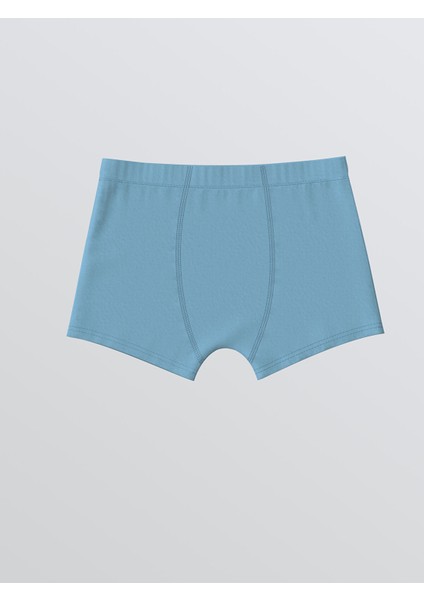 Yeni Sezon Dinozor Baskılı Erkek Çocuk Boxer 3'lü fiyatları