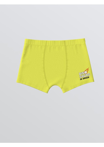 Yeni Sezon Dinozor Baskılı Erkek Çocuk Boxer 3'lü fırsatları