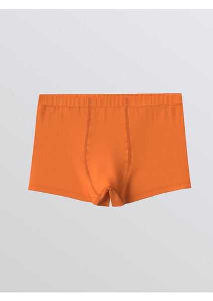 Yeni Sezon Baskılı Erkek Çocuk Boxer 3'lü fırsatları