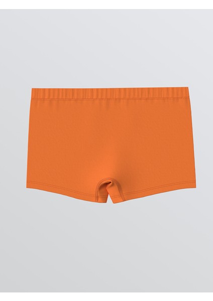 Yeni Sezon Baskılı Erkek Çocuk Boxer 3'lü indirimleri