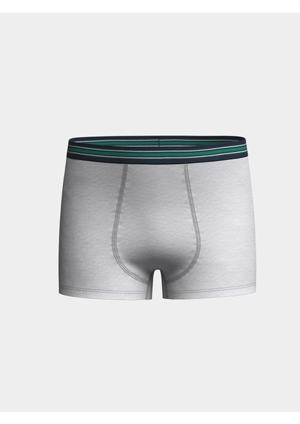 Yeni Sezon Erkek Çocuk Boxer 3'lü modelleri