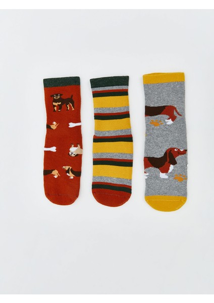 Yeni Sezon Desenli Erkek Çocuk Havlu Soket Çorap 3'lü fiyatları