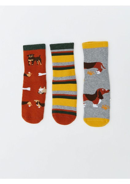 Yeni Sezon Desenli Erkek Çocuk Havlu Soket Çorap 3'lü modelleri