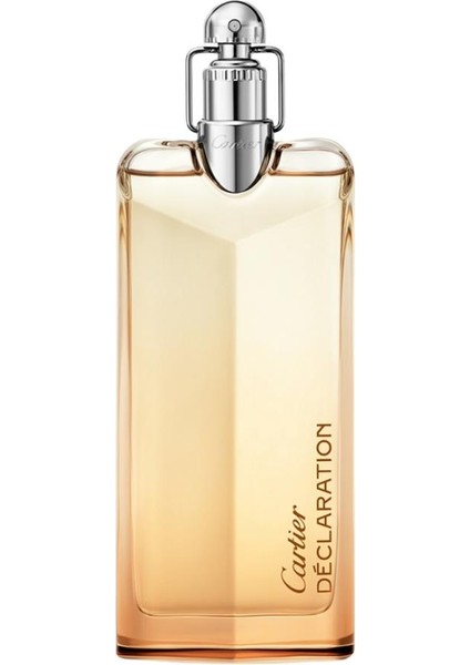 Declaration Edp 100 ml Erkek Parfümü