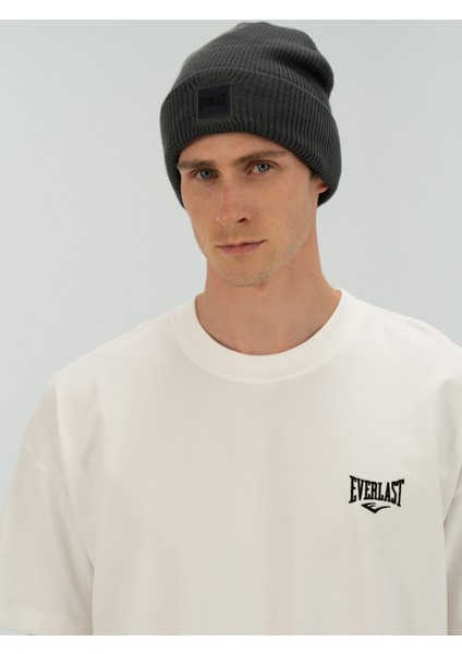 Trademark Gri Bere fiyatları