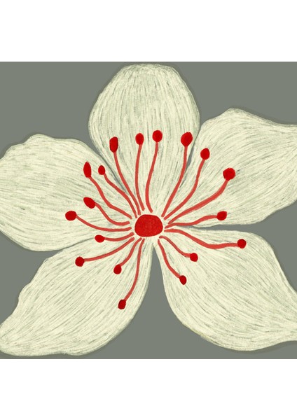 Oturma Odası fiyatları