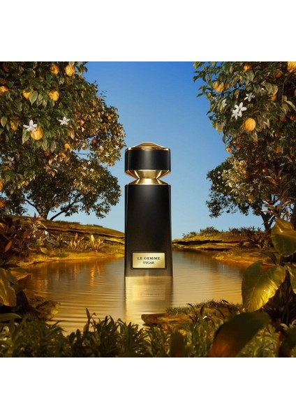 Le Gemme Tygar Edp 125 ml Erkek Parfümü fırsatları