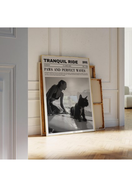 Sörf Yapan Kedi Gazetesi: Sahil Duvar Sanatı ( & ) fiyatları