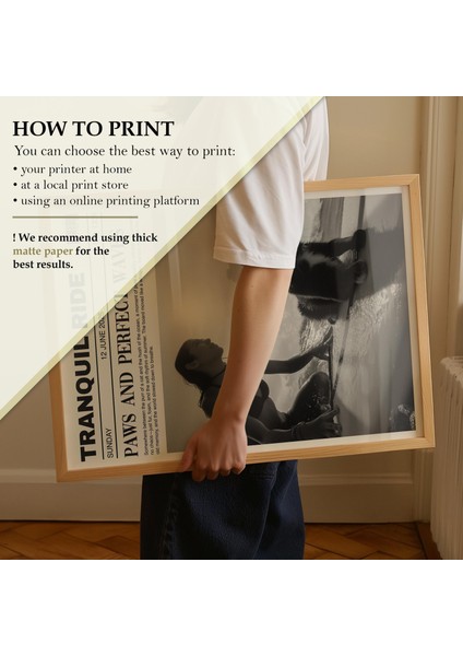 Sörf Yapan Kedi Gazetesi: Sahil Duvar Sanatı ( & ) modelleri