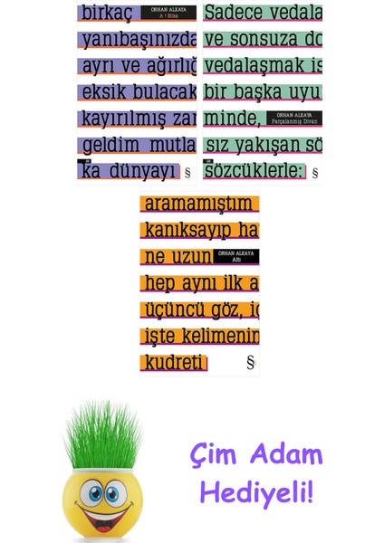 Orhan Alkaya 3 Kitap Seti + Çim Adam Hediye