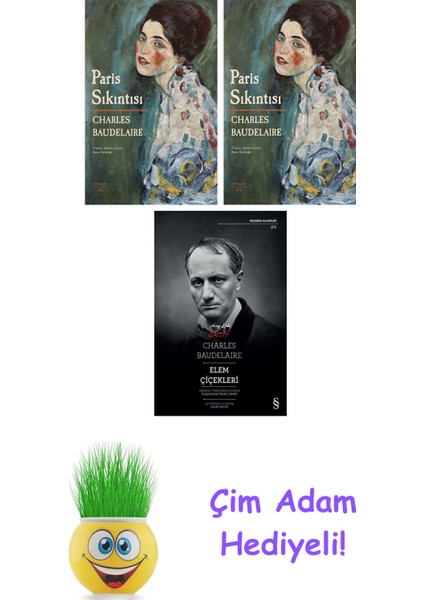Charles Baudelaire 3 Kitap Seti + Çim Adam Hediye