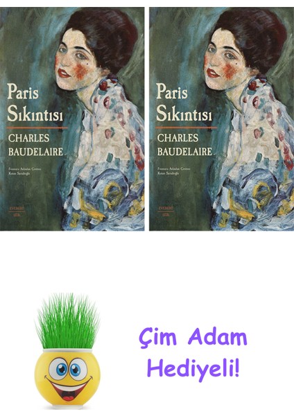 Charles Baudelaire 2 Kitap Seti + Çim Adam Hediye