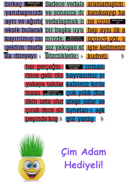 Orhan Alkaya 5 Kitap Seti + Çim Adam Hediye