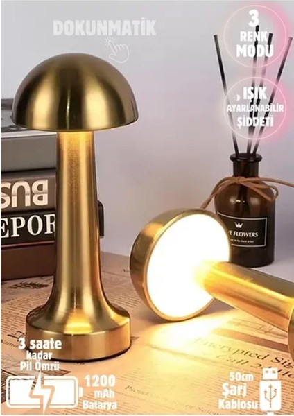 Renkli LED Mantar Masa Lambası, Şarjlı, Şık ve Kullanışlı Dekoratif Işık fırsatları