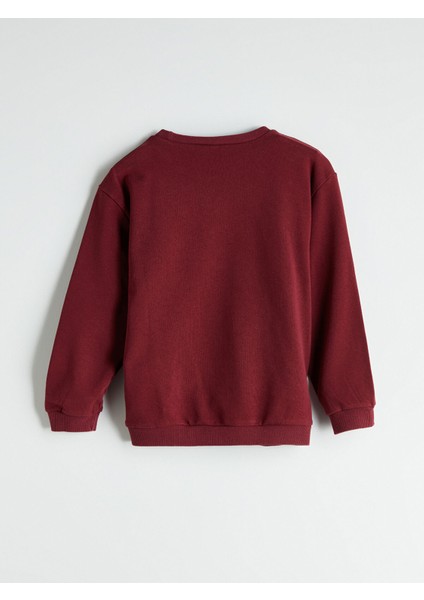 Yeni Sezon Bisiklet Yaka Erkek Çocuk Sweatshirt modelleri