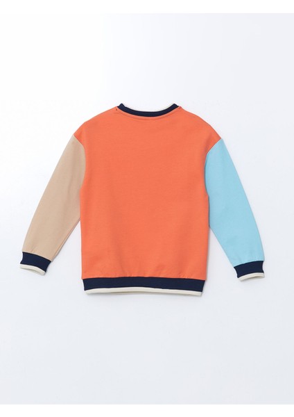 Yeni Sezon Bisiklet Yaka Baskılı Erkek Çocuk Sweatshirt fırsatları