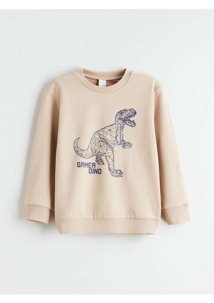 Yeni Sezon Baskılı Erkek Çocuk Sweatshirt 2'li fiyatları