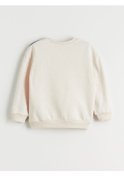 Yeni Sezon Bisiklet Yaka Erkek Çocuk Sweatshirt fiyatları