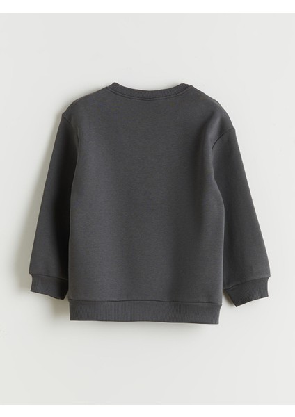 Yeni Sezon Bisiklet Yaka Erkek Çocuk Sweatshirt fiyatları
