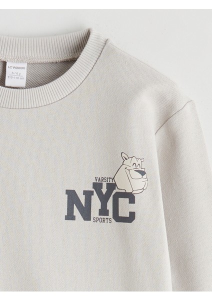 Yeni Sezon Bisiklet Yaka Erkek Çocuk Sweatshirt fiyatları