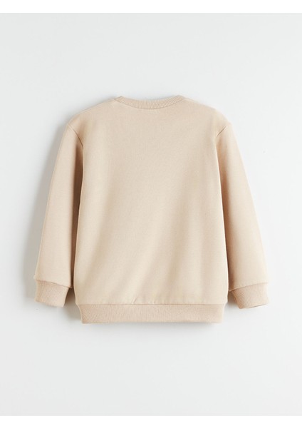 Yeni Sezon Baskılı Erkek Çocuk Sweatshirt 2'li fırsatları