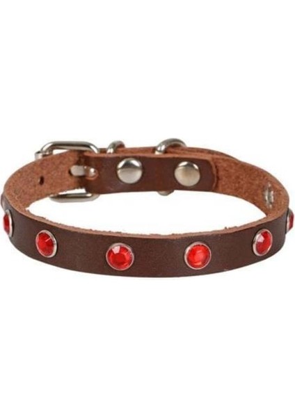 Cattie Gerçek Deriden Taşlı Kedi Boyun Tasması Medium Kahverengi 1X20-23 cm - Petshopundan