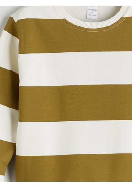 Yeni Sezon Çizgili Erkek Çocuk Kalın Sweatshirt modelleri