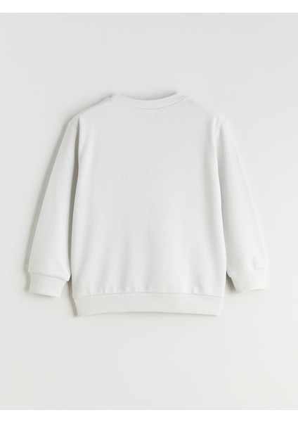 Yeni Sezon Hayvan Baskılı Erkek Çocuk Sweatshirt fiyatları