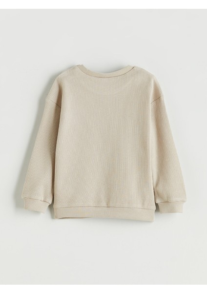 Yeni Sezon Bisiklet Yaka Basic Erkek Bebek Sweatshirt fiyatları