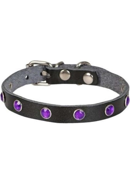Cattie Gerçek Deriden Taşlı Kedi Boyun Tasması Medium Siyah 1X20-23 cm - Petshopundan