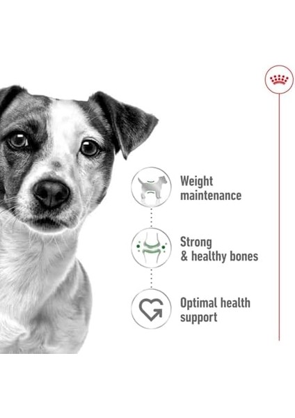 Mini Adult Köpek Maması, 8 kg fiyatları