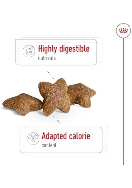 Mini Adult Köpek Maması, 8 kg fırsatları